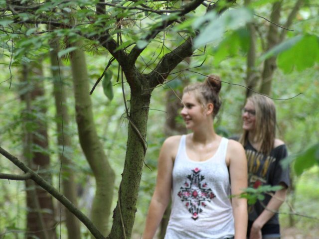 Bilder 25.07.2016