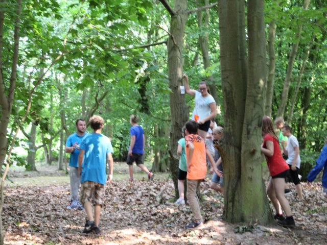 Bilder 25.07.2016