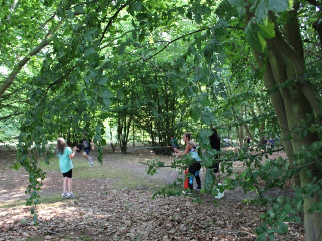 Bilder 25.07.2016