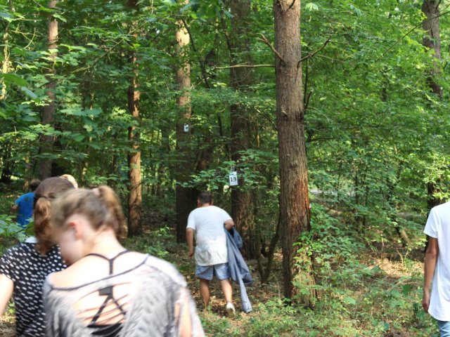 Bilder 25.07.2016