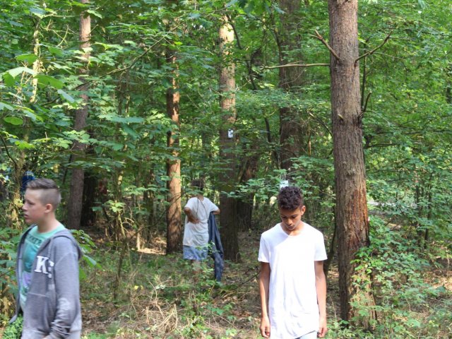 Bilder 25.07.2016