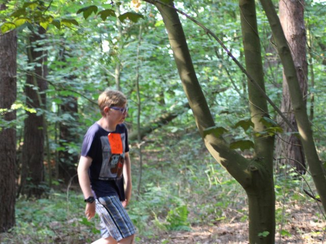 Bilder 25.07.2016