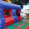 Bilder 26.07.2016