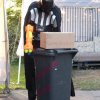 Bilder 27.07.2016
