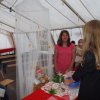 Bilder 28.07.2016