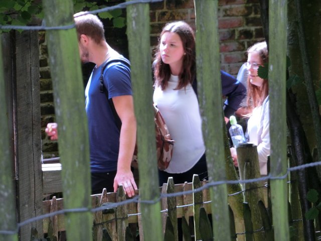 Bilder 29.07.2016