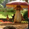 Bilder 29.07.2016