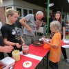 Bilder 29.07.2016