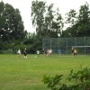 Bilder 30.07.2016