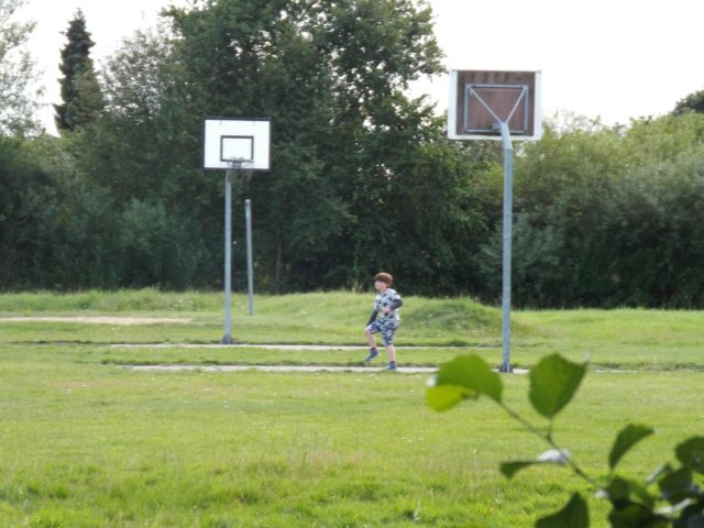 Bilder 31.07.2016