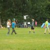 Bilder 31.07.2016
