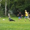 Bilder 31.07.2016