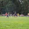 Bilder 31.07.2016