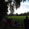 Bilder 31.07.2016