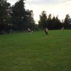Bilder 31.07.2016