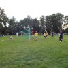 Bilder 31.07.2016