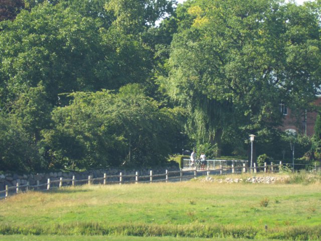 Bilder 18.07.2018
