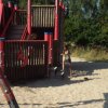 Bilder 18.07.2018