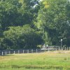 Bilder 18.07.2018