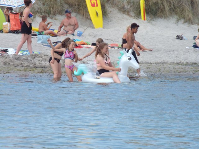 Bilder 19.07.2018