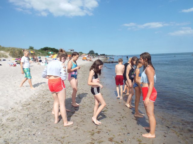 Bilder 19.07.2018