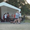 Bilder 20.07.2018