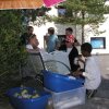 Bilder 15.08.2012