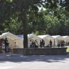 Bilder 16.08.2012