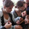 Bilder 16.08.2012