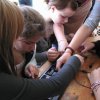 Bilder 16.08.2012