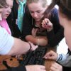 Bilder 16.08.2012