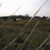 Bilder 17.08.2012