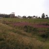 Bilder 17.08.2012