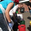 Bilder 18.08.2012