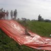 Bilder 18.08.2012