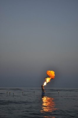 Bilder 19.08.2012