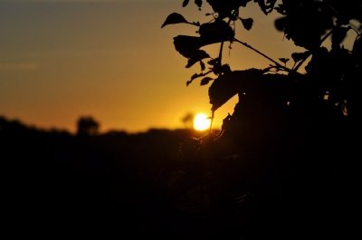 Bilder 28.08.2012