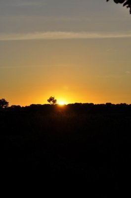 Bilder 28.08.2012