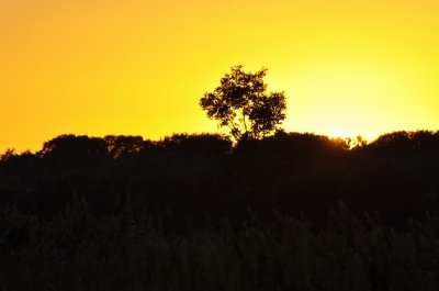 Bilder 28.08.2012