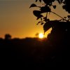 Bilder 28.08.2012