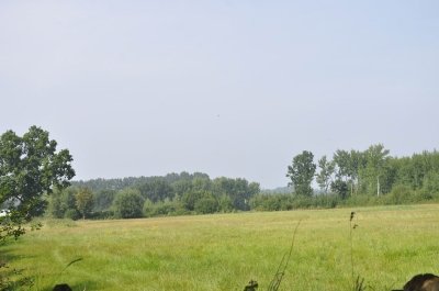 Bilder 29.08.2012
