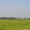 Bilder 29.08.2012