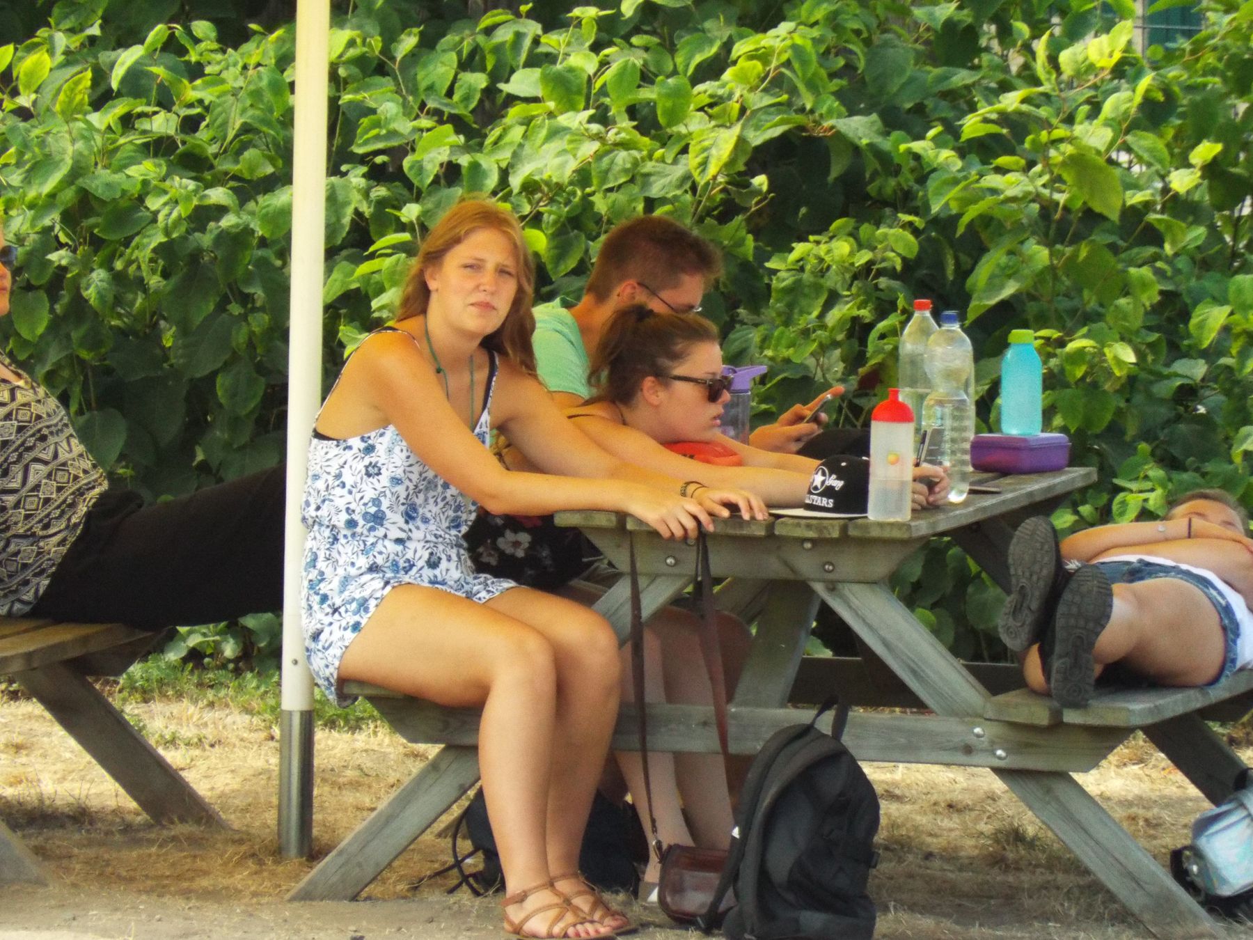 20180728073.jpg